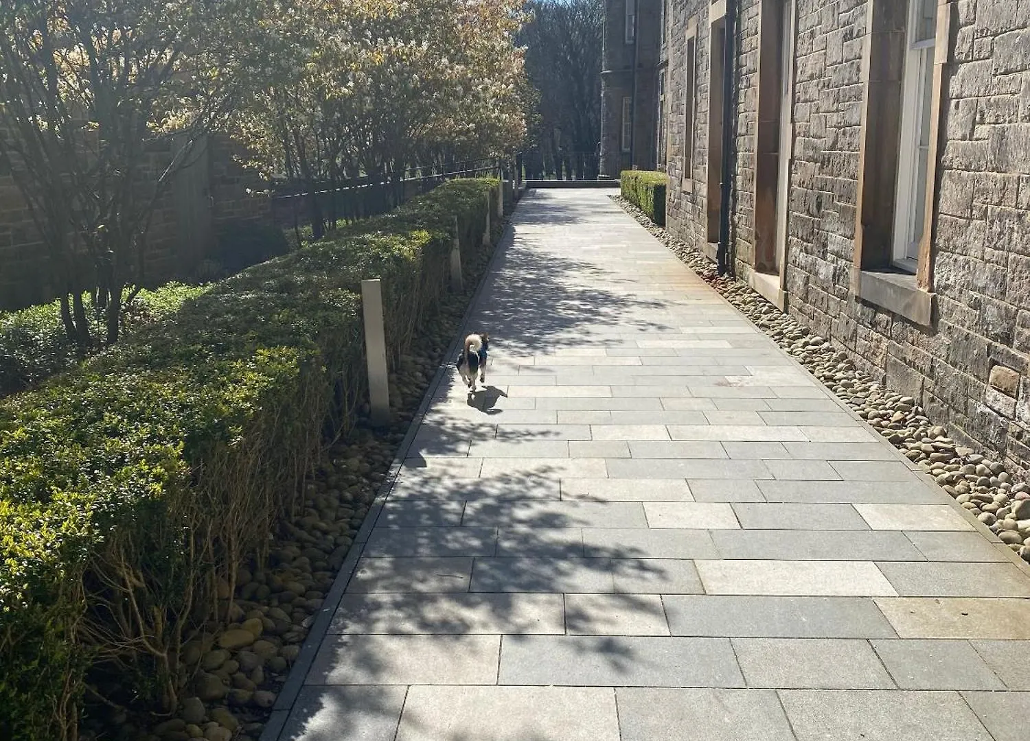 Extremely Central Quartermile Apartment Near To Castle And University Edinburgh